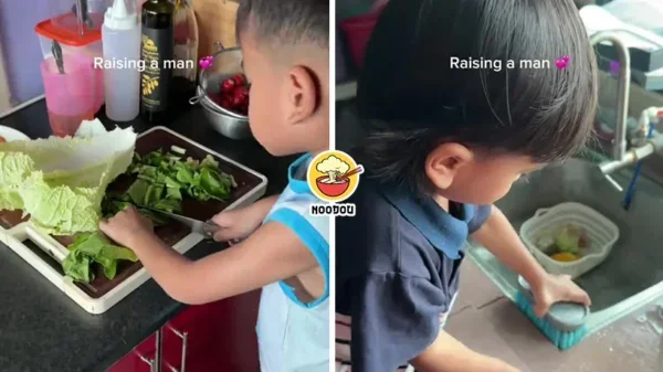 5 Yo Cook House Chores Ft