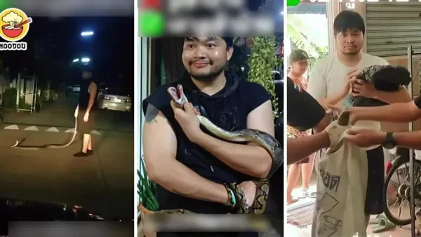 Drunk Bring Snake Home Ft 1