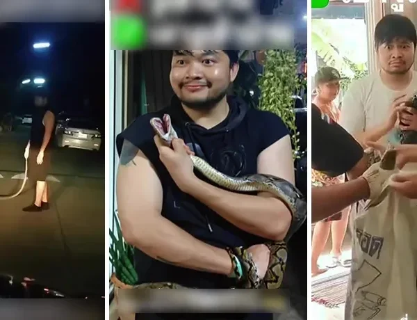 Drunk Bring Snake Home Ft 1