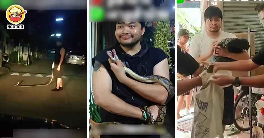 Drunk Bring Snake Home Ft 1