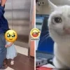 Kid Teman Oku Dad Hospital Igs