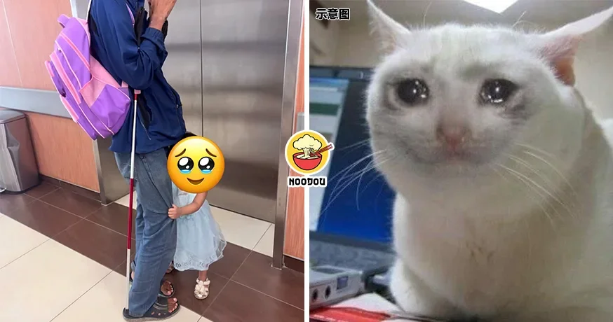 【懂事得让人心疼！】大马小女孩陪视障爸爸去医院，搀扶爸爸进电梯暖哭网民！