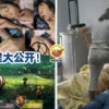 Tong Noodou Ft Img 11 2