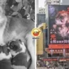 Tong Noodou Ft Img 12 1