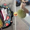 Tong Noodou Ft Img 17