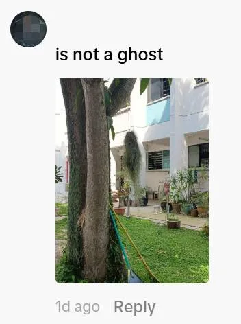 Comment 1