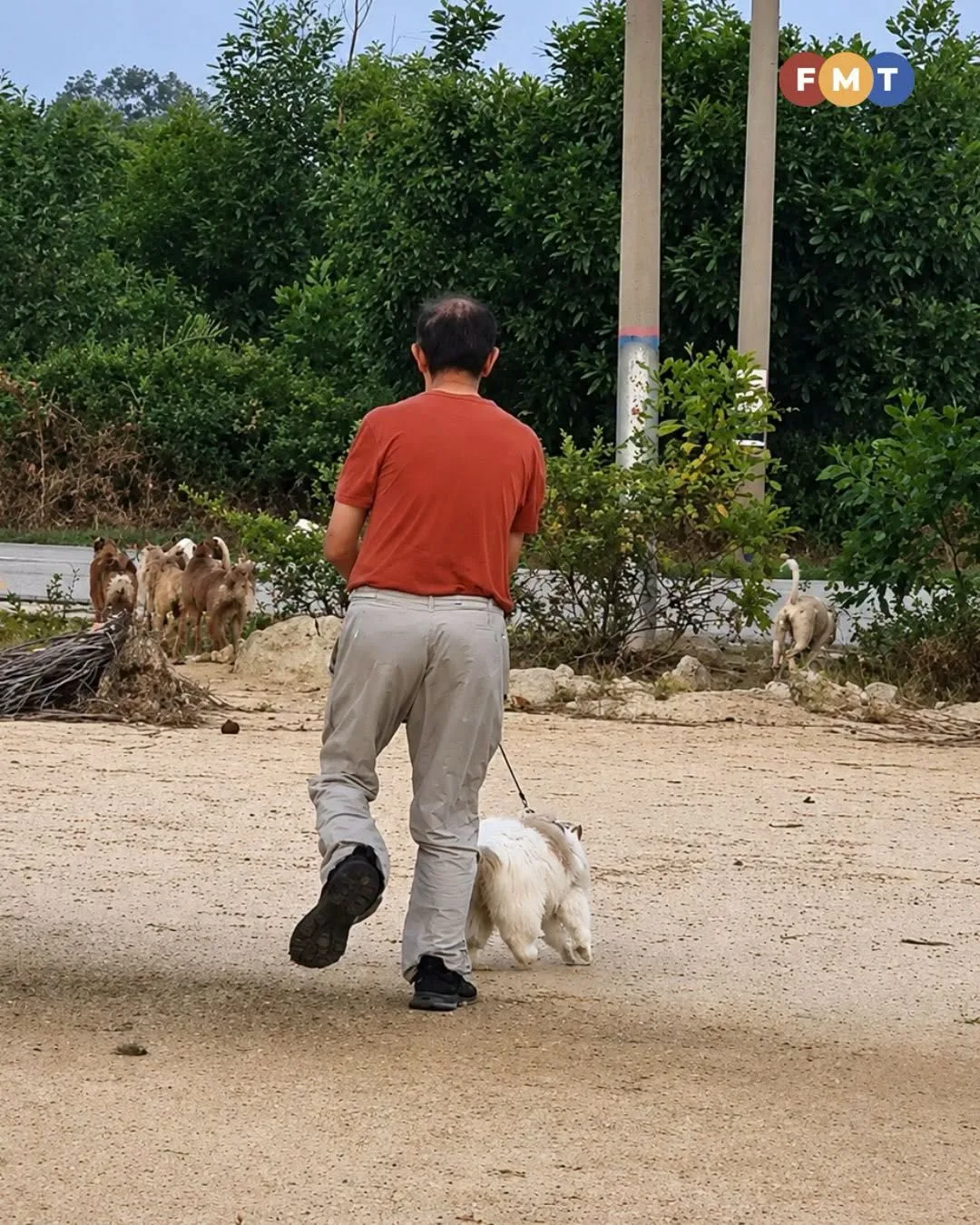 Xavier猫喜欢追逐狗爆红4 2
