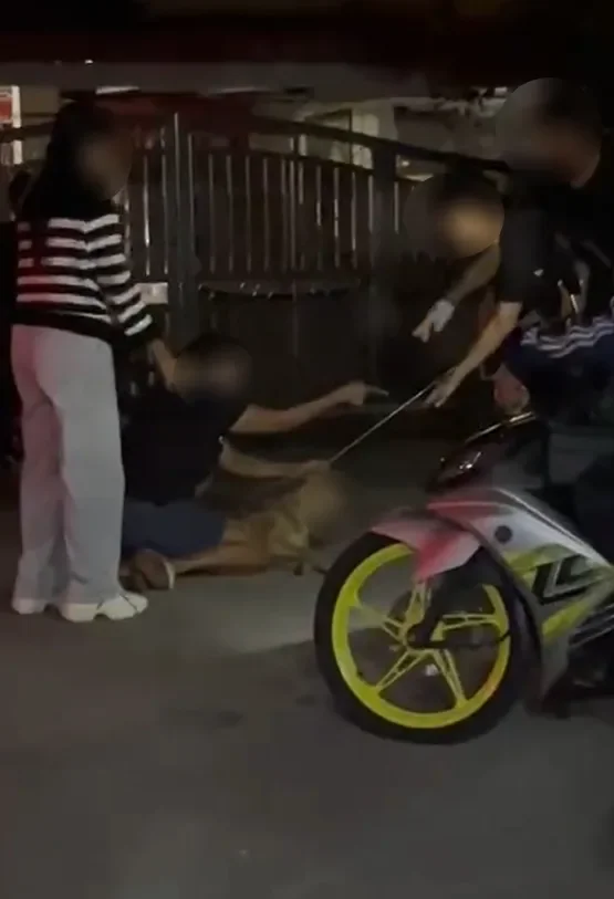 抓狗