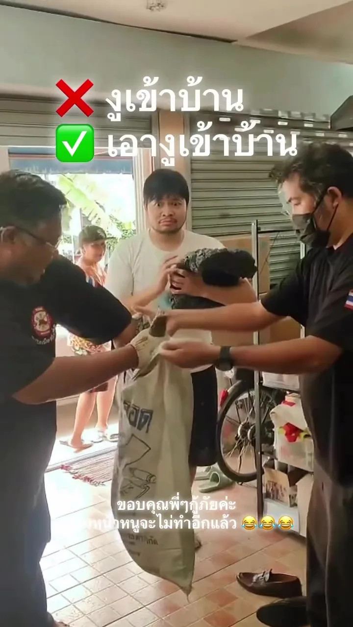 男子喝醉把蟒蛇带回家隔天醒来一脸懵 1