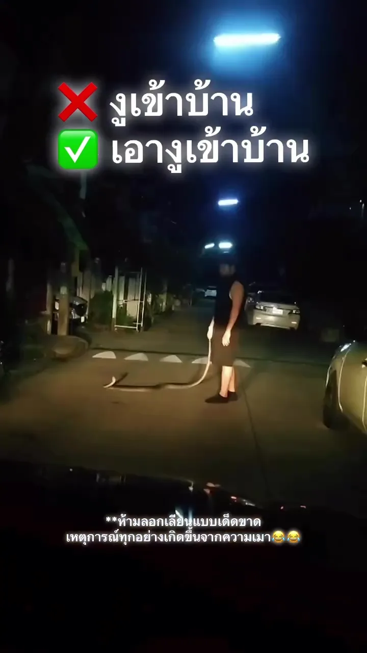 男子喝醉把蟒蛇带回家隔天醒来一脸懵 4