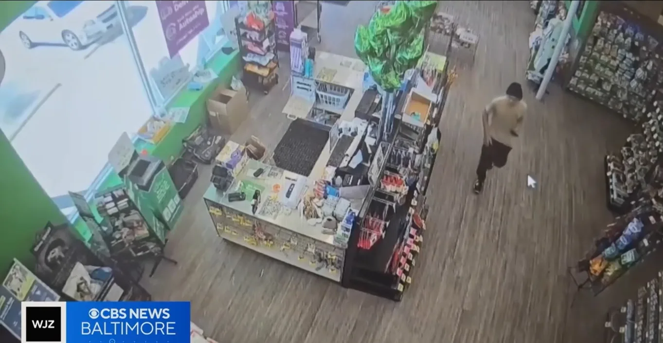 男子宠物店偷猫后去打劫附近银行叫职员帮忙顾一下