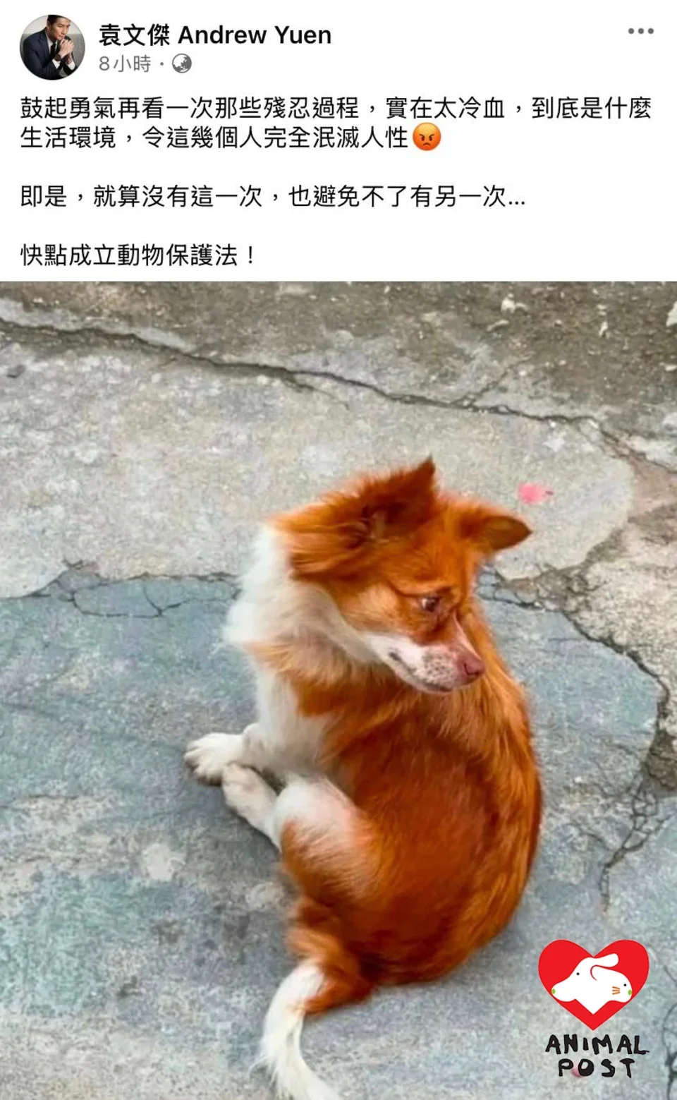 袁文杰