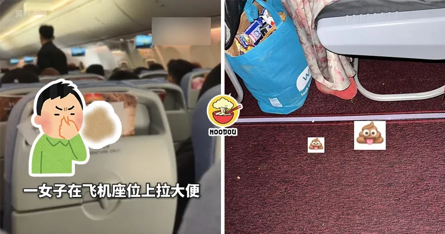 【Holy大便！】马来西亚飞中国，女乘客在飞机座位上拉屎！大家想逃！！！