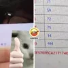 444 Bday Mark Funeral Ft