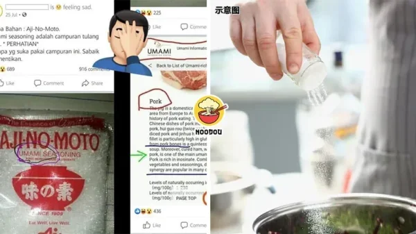 Ajinomoto Pork No Ft
