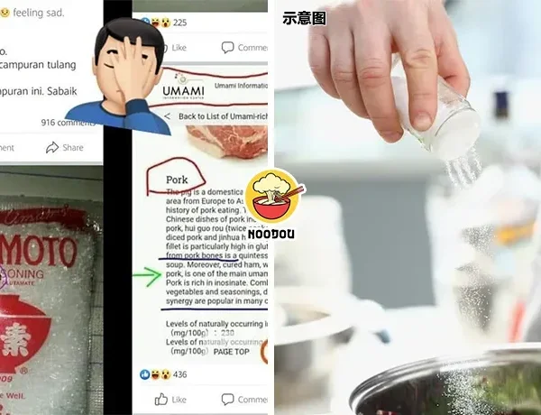 Ajinomoto Pork No Ft