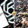 Chatgpt Find Shoes Ft