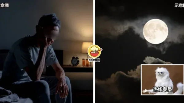Moonlight Bright Ft Img