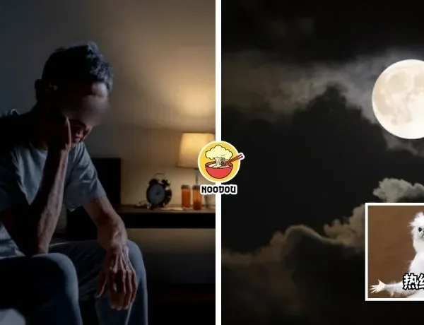 Moonlight Bright Ft Img