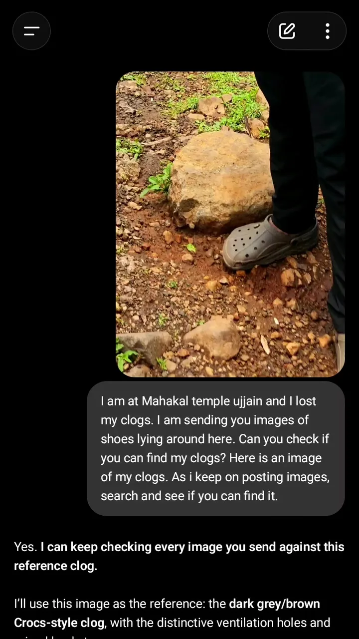 男子用Chatgpt从上千鞋海中找到自己遗失的鞋子 5