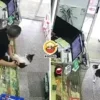 Cat Shop Hit Dog Ft