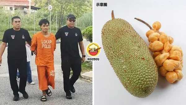 Cempedak Hit Dad Ft