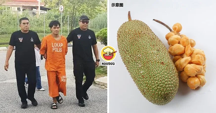 【水果变武器！】用Cempedak砸伤爸爸，大马30岁男子认罪！