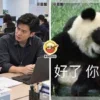 Colleague Keep Cry Ft