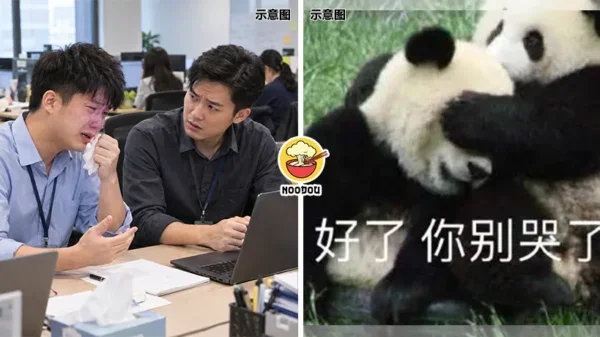 Colleague Keep Cry Ft