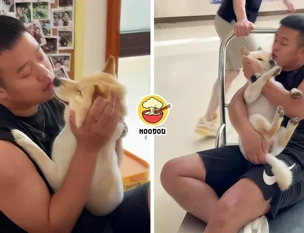 Eat Wild Mushroom Kiss Dog Ft