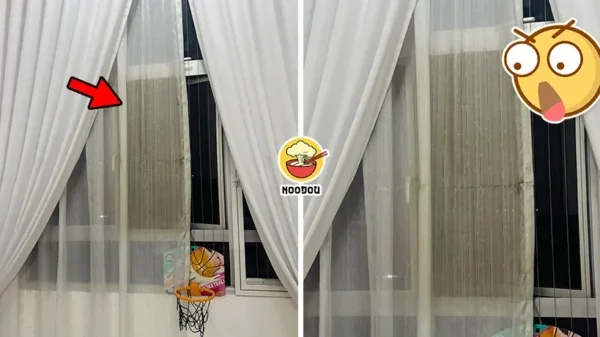 Haze No Close Window Curtain Brown Ft