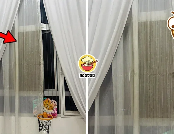 Haze No Close Window Curtain Brown Ft