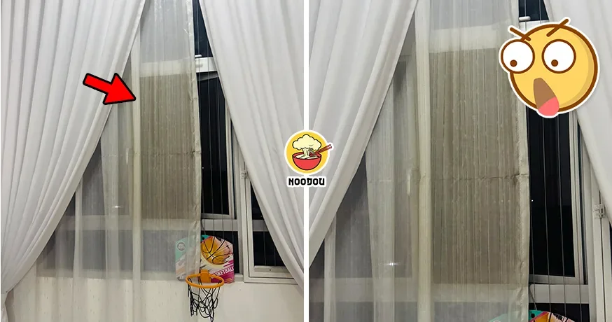 Haze No Close Window Curtain Brown Ft