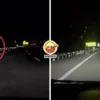 Light Up Highway Motor Ft
