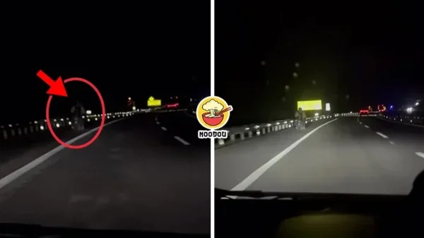 Light Up Highway Motor Ft