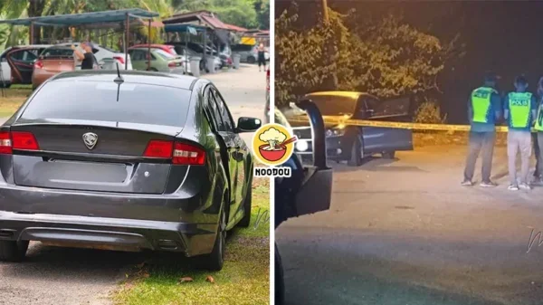 Lost Woman Found Car Ex Ft