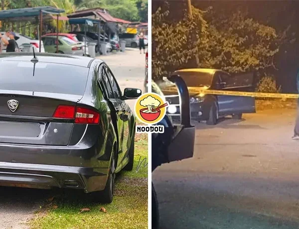 Lost Woman Found Car Ex Ft