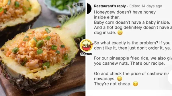 Pineapple Fried Rice No Pineapple Ft