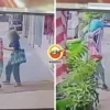 Woman Push Longkang Calon Ft