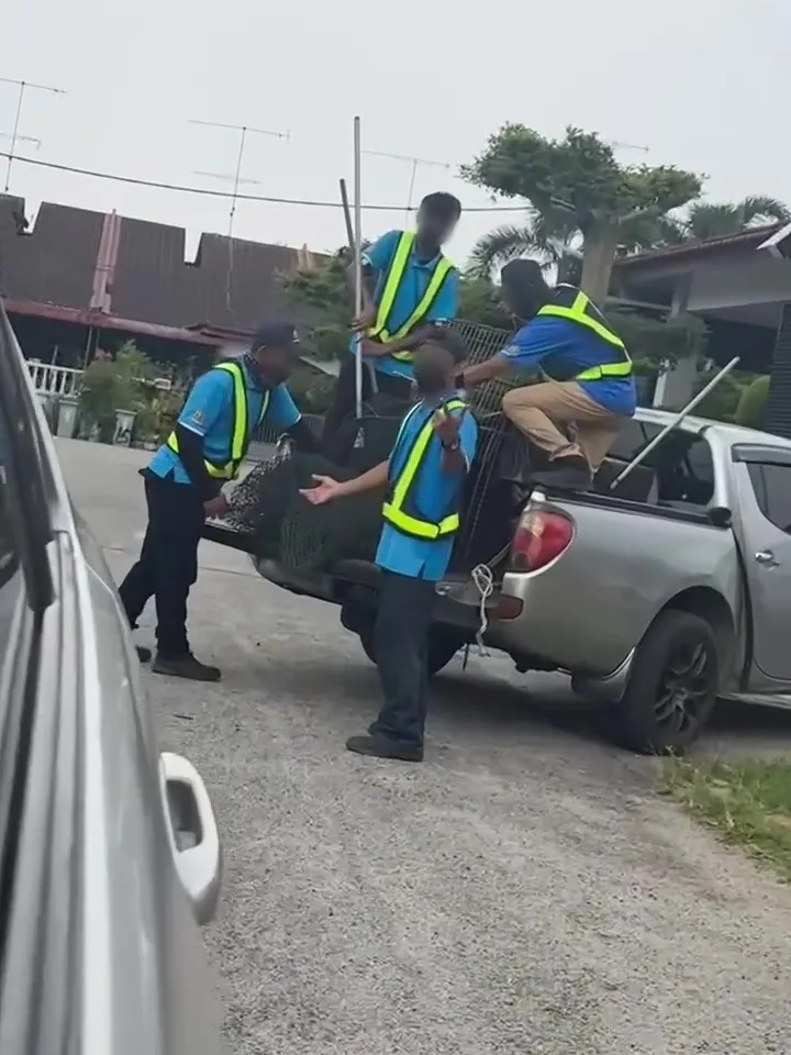 Batu Pahat抓狗队队民众没礼貌比中指挑衅粗暴踢狗 4