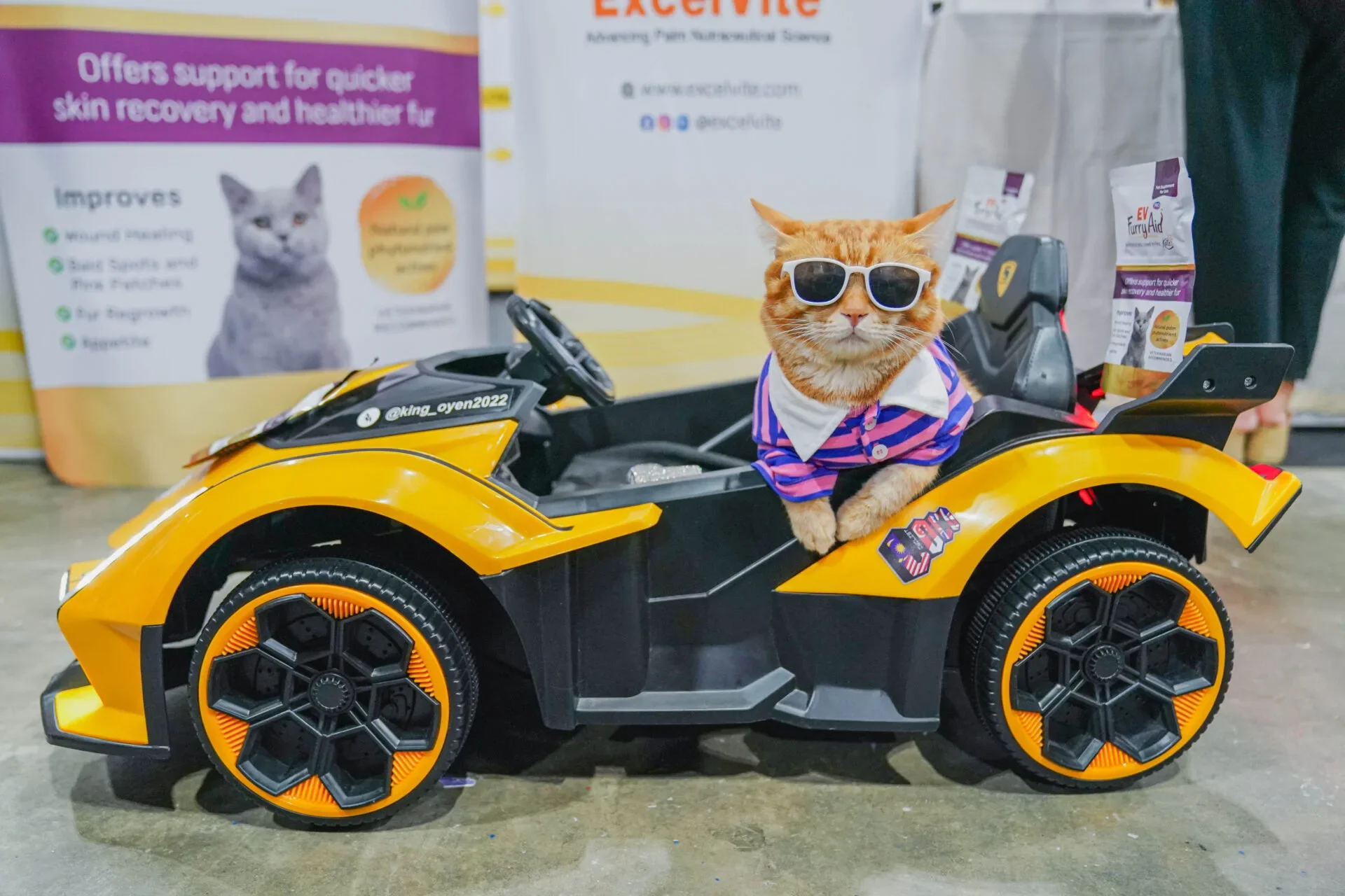 Cat3