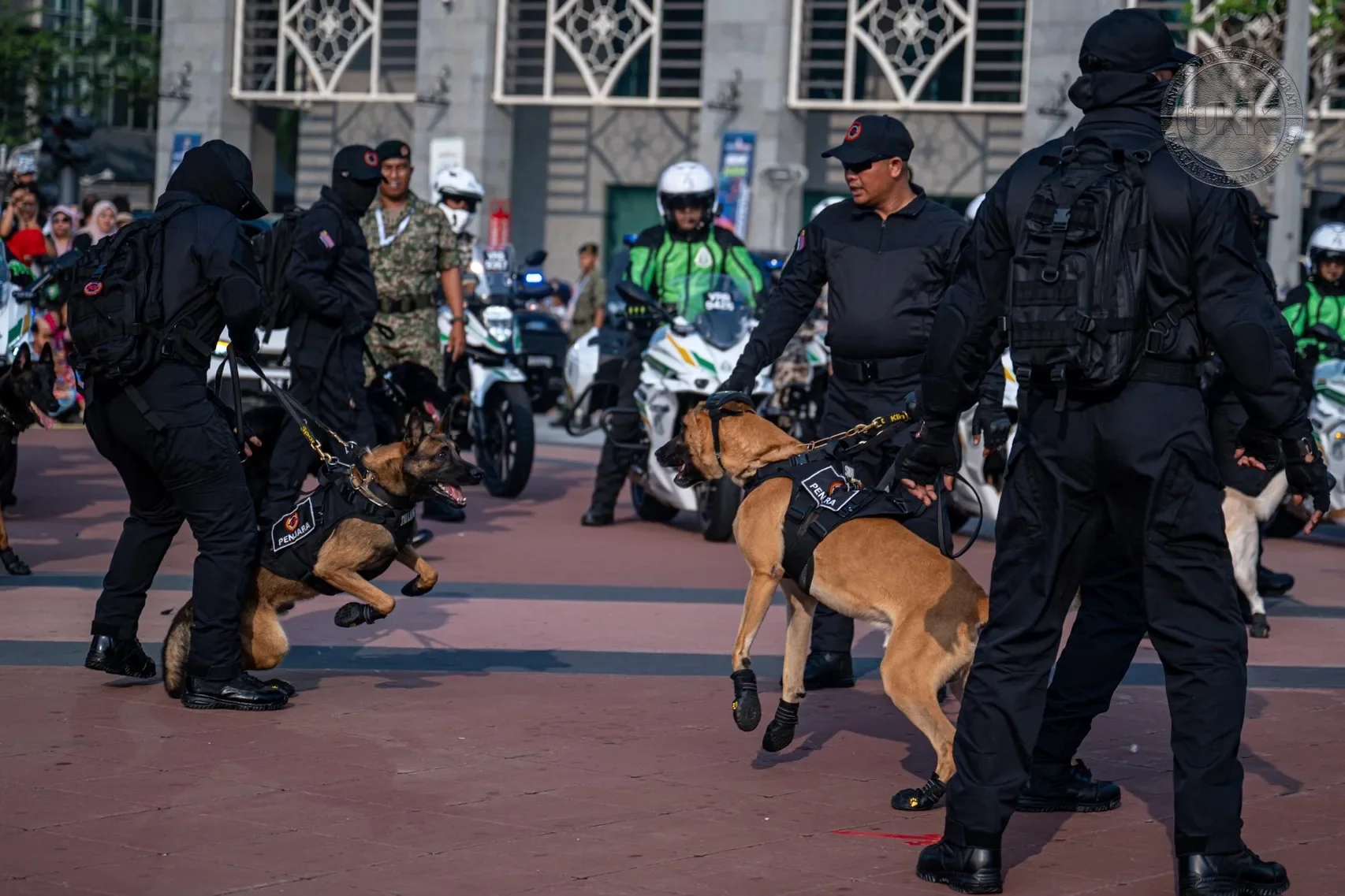 K9警犬国庆日庆典彩排起冲突开战 2