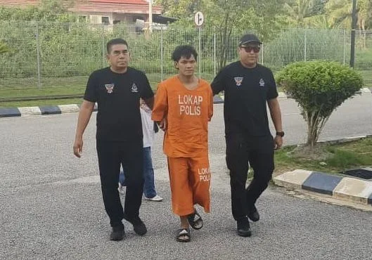 儿子用波罗蜜Cempedak砸伤父亲认罪