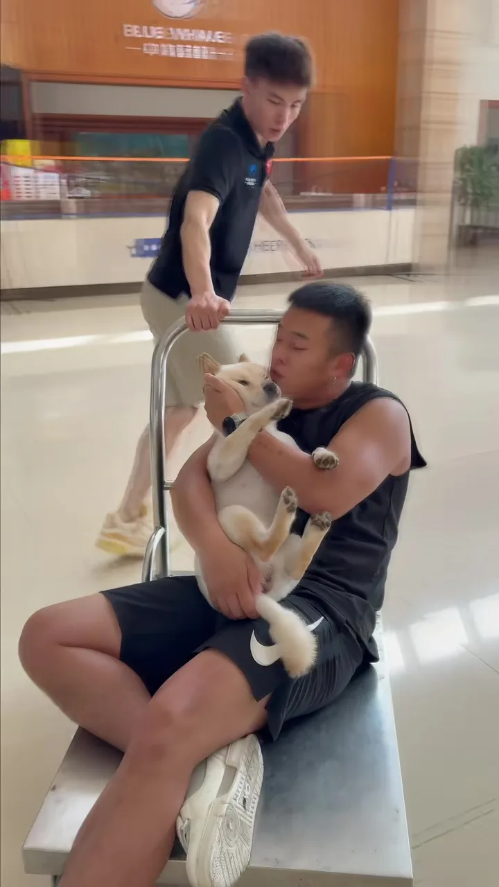男子吃云南见手青野蘑菇出现幻觉把狗当前女友狂亲 6