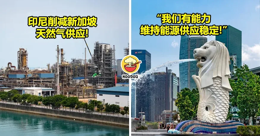 才警告“不尊重印尼就断能源”，2天后削减新加坡天然气供应！