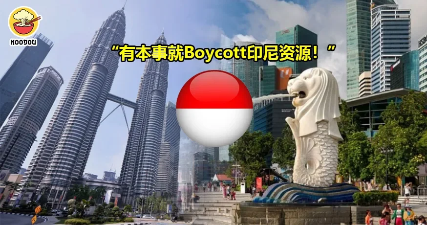 印尼男子呛大马人新加坡人，“有本事就Boycott印尼资源！”