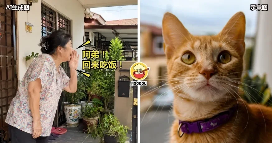 邻居每天叫“阿弟”回家吃饭，女子『没见过真人』超疑惑！最后发现原来是Oyen！