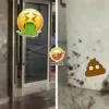 Shit Ft Img 1