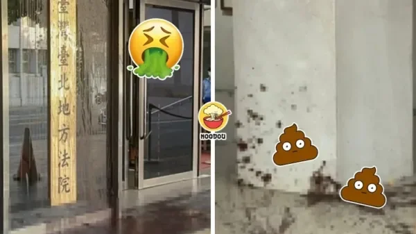 Shit Ft Img 1
